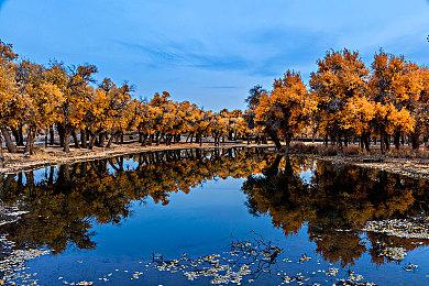 街机卡游《高达 A·B》新卡被质疑抄袭 万代承认并致歉